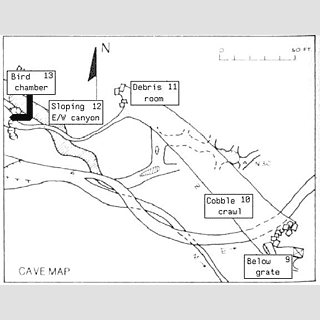 Cronotripper 64 (26): ADVENT, Colossal Cave y el paper de Dennis Jerz — imagen 3 de 8